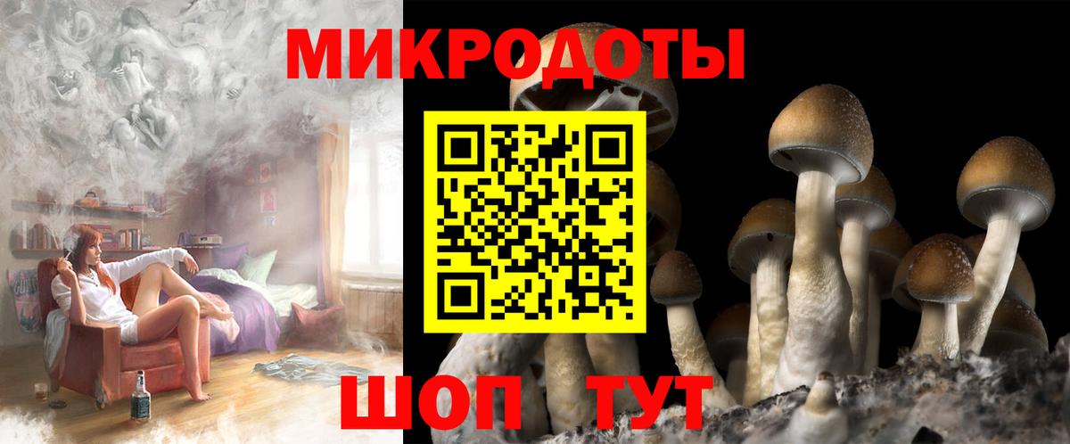 Псилоцибиновые грибы GOLDEN TEACHER Дзержинск